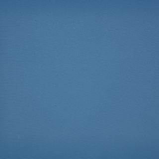 8204-bleuet-680